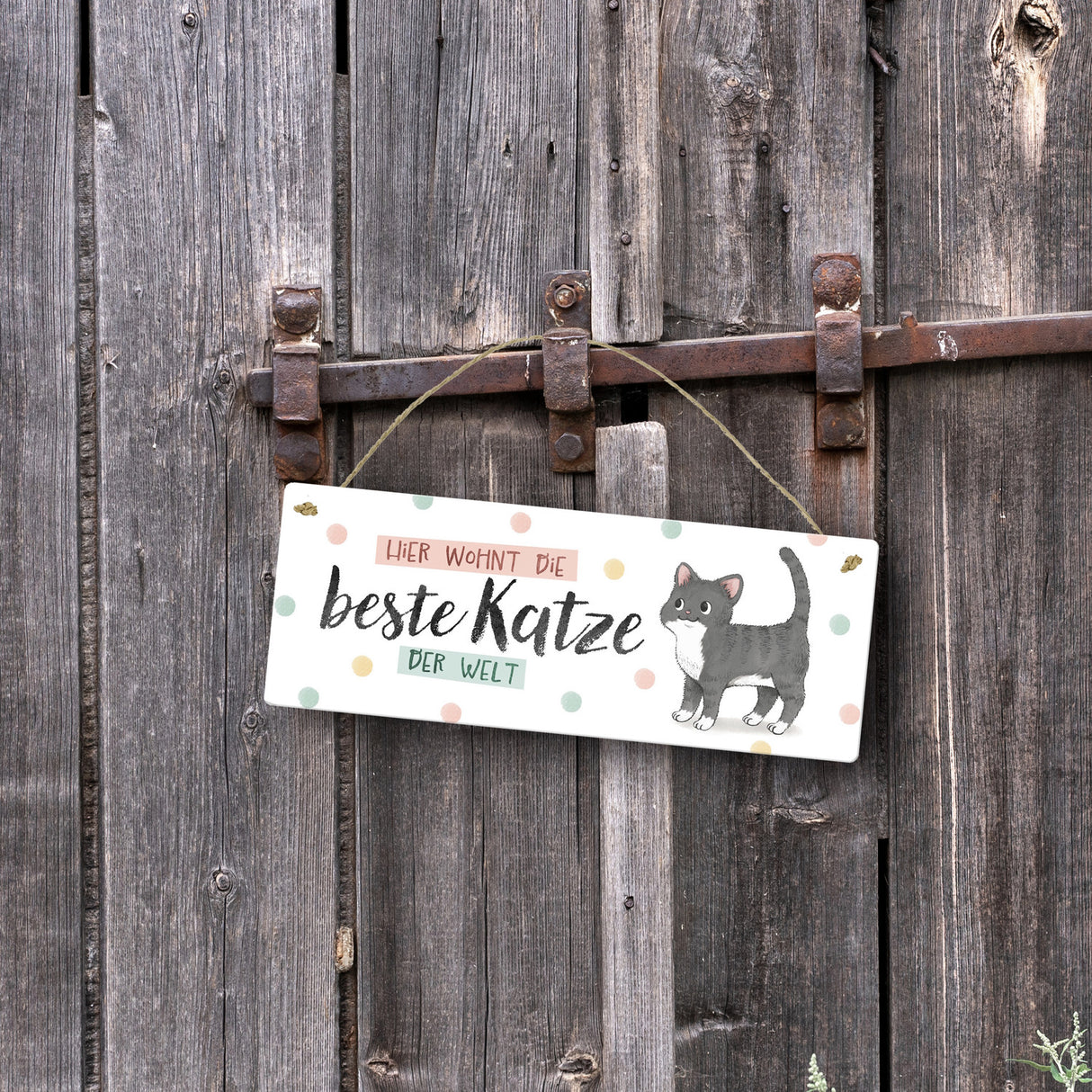 Beste Katze der Welt Metallschild mit oranger Katze und Spruch