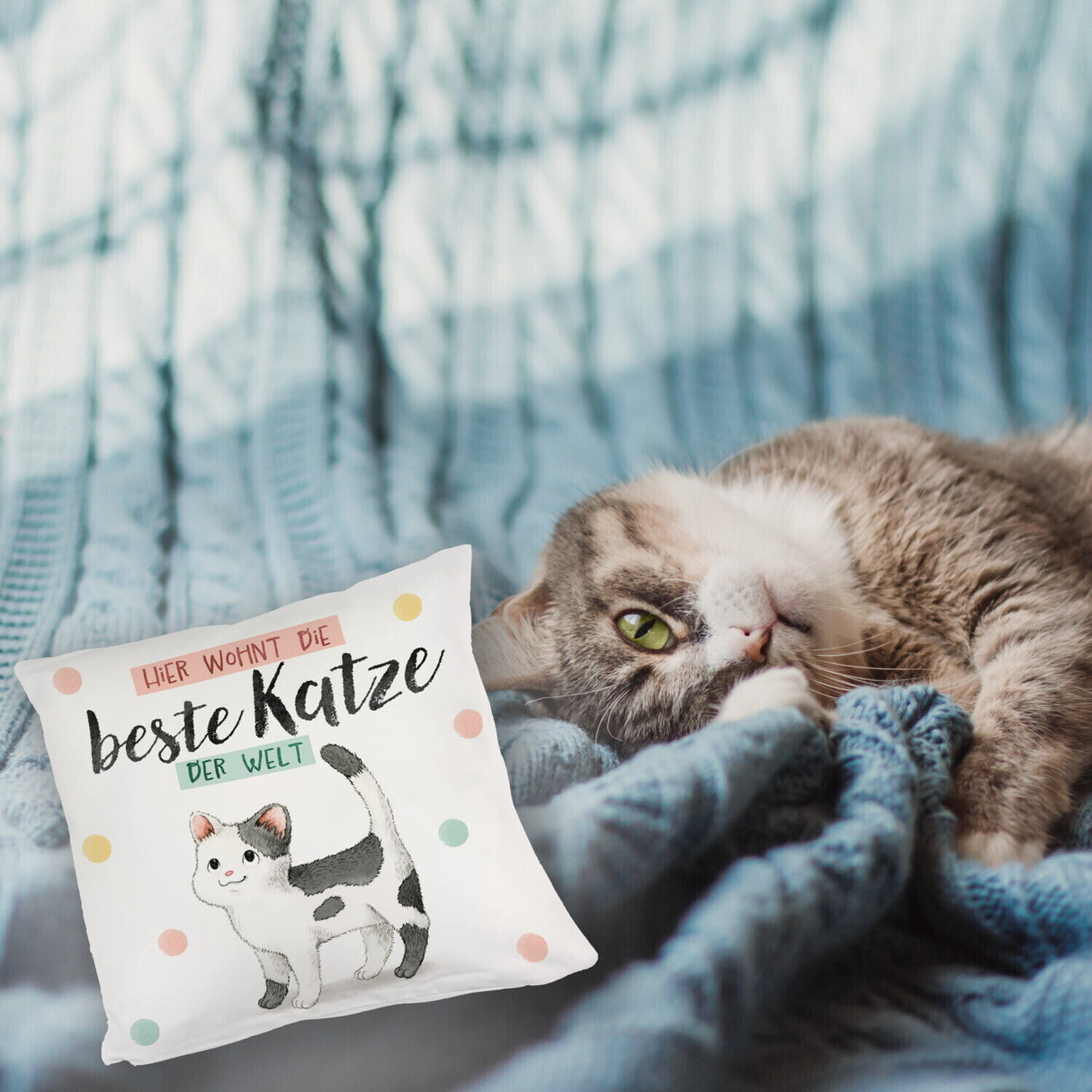 Beste Katze der Welt Kissen mit oranger Katze Katze und Spruch