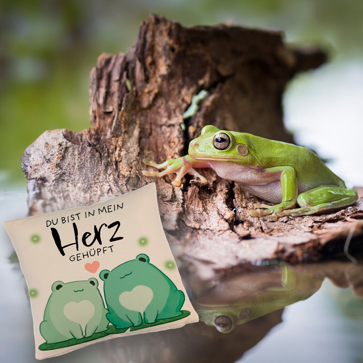 Frosch Kissen mit Spruch Du bist in mein Herz gehüpft