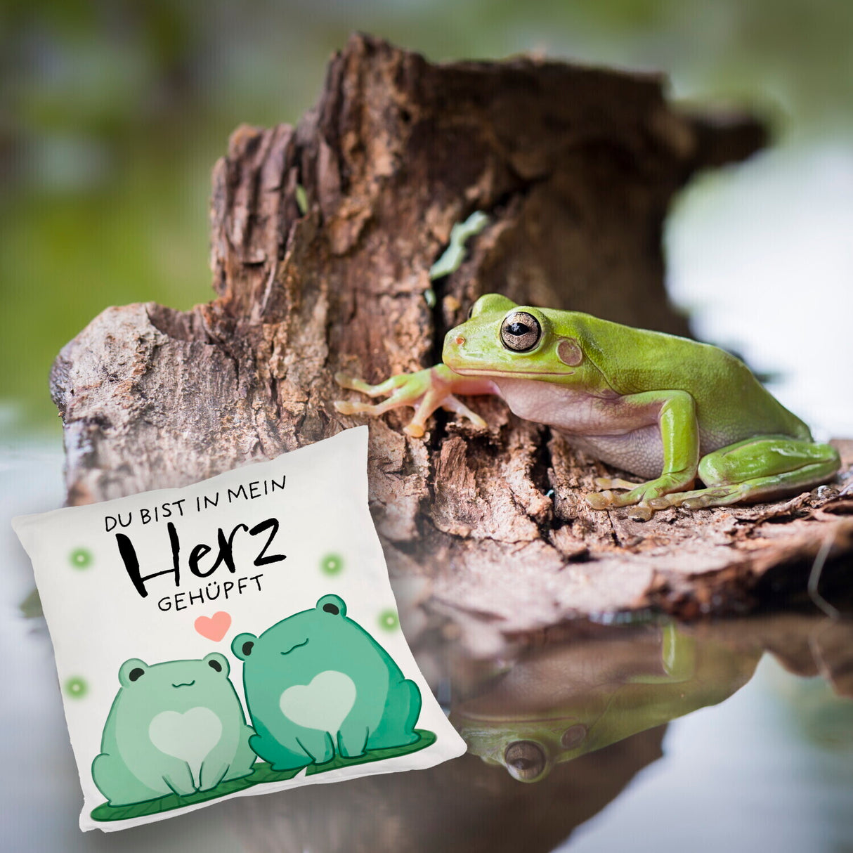 Frosch Kissen mit Spruch Du bist in mein Herz gehüpft