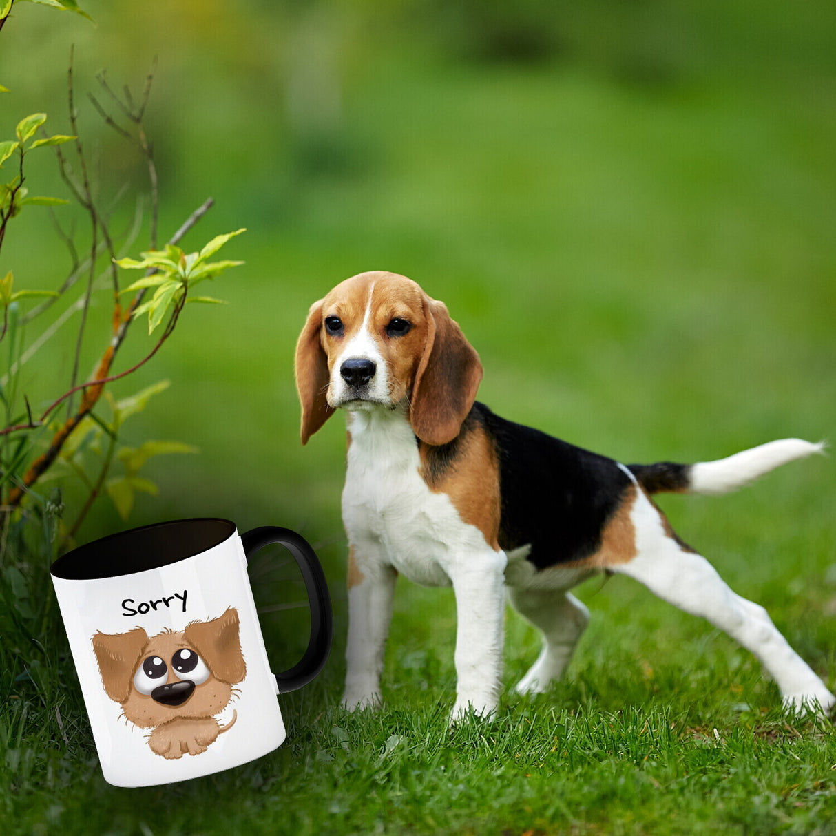 Hund Kaffeebecher mit Spruch Sorry