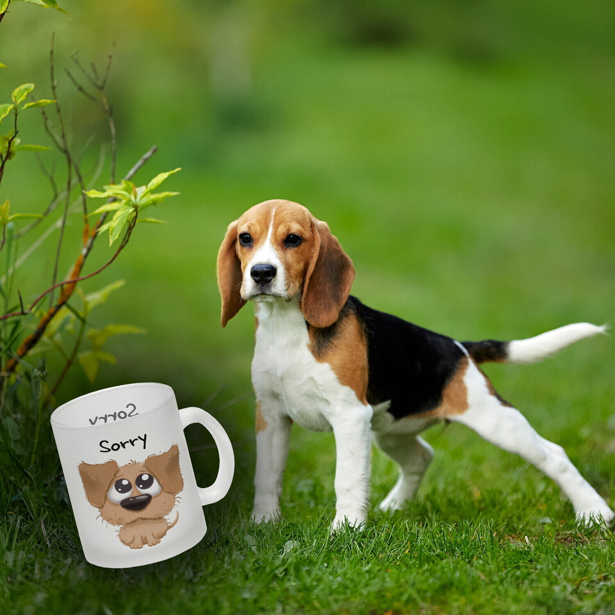 Hund Kaffeebecher mit Spruch Sorry