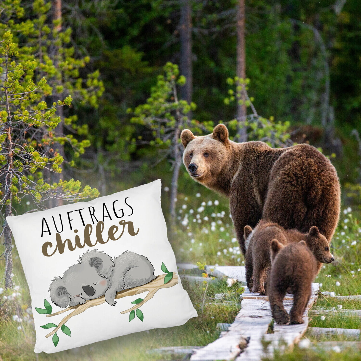 Schlafender Koala Kissen mit Spruch Auftragschiller