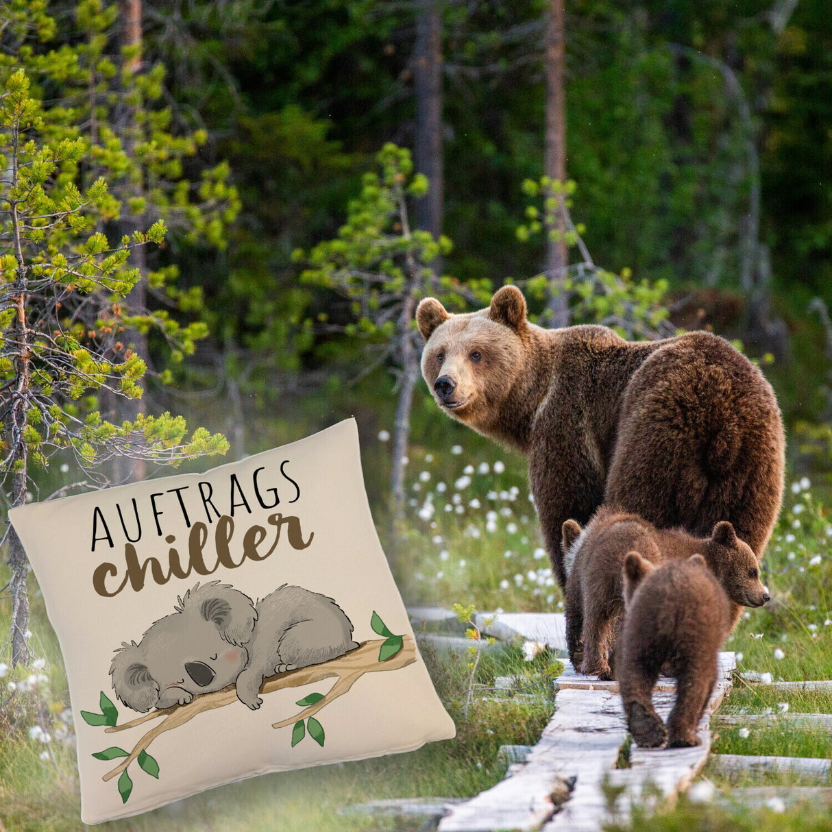 Schlafender Koala Kissen mit Spruch Auftragschiller