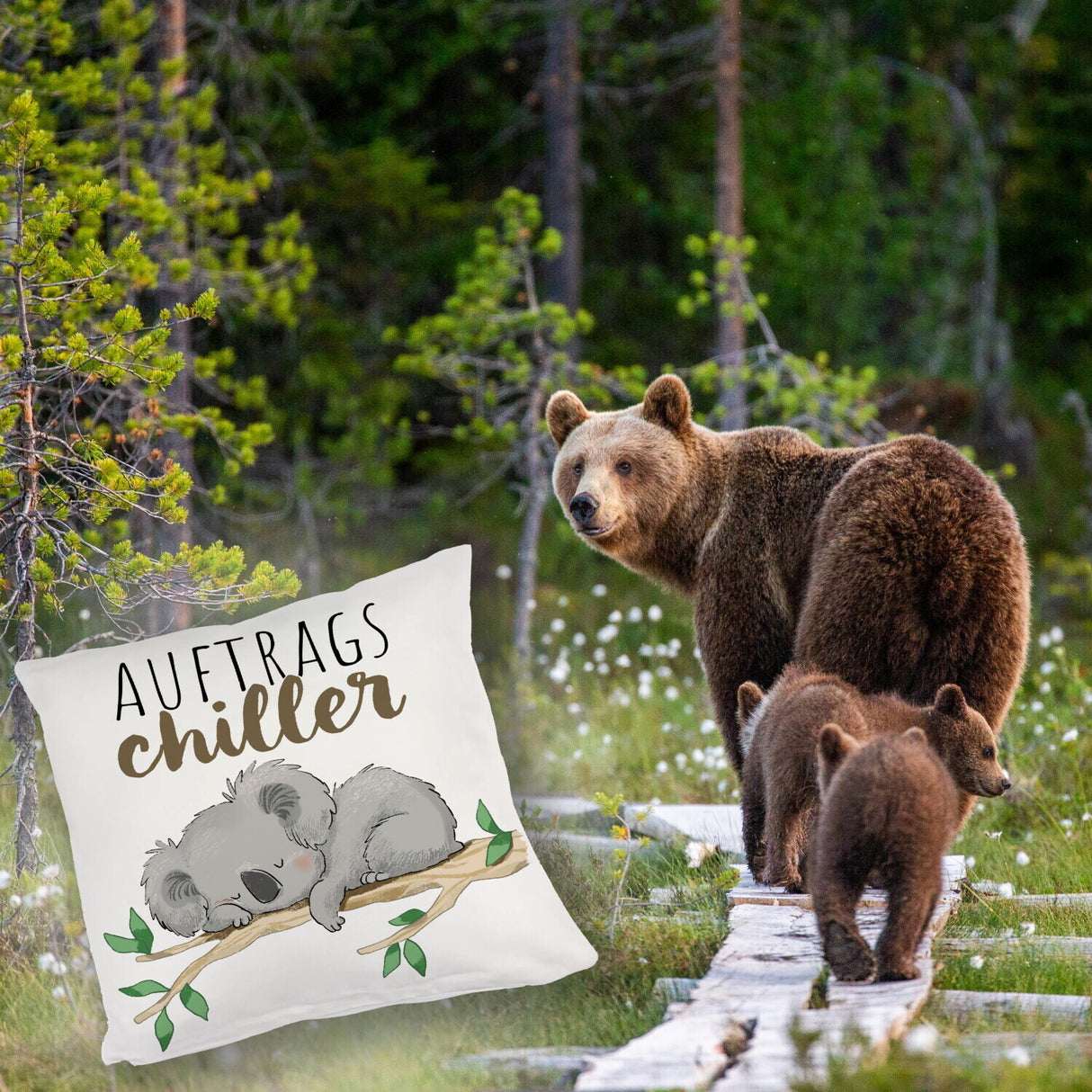 Schlafender Koala Kissen mit Spruch Auftragschiller