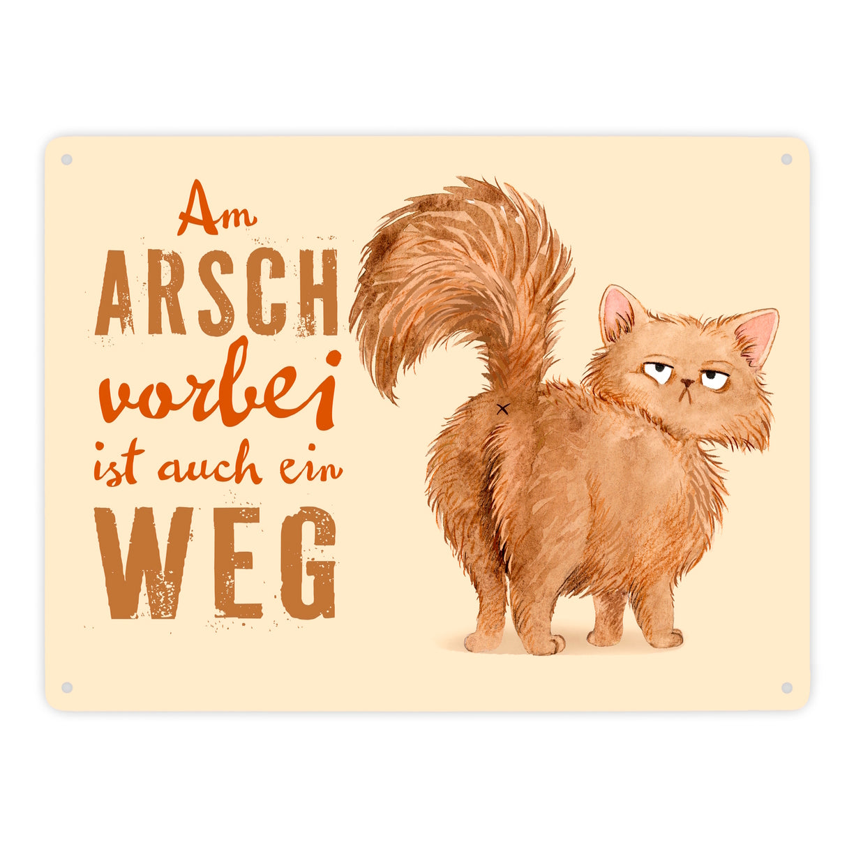 Katze Metallschild in 15x20 cm mit Spruch Am Arsch vorbei ist auch ein Weg