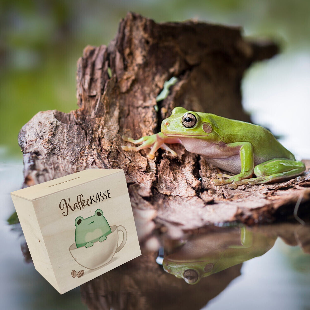 Frosch Spardose mit Spruch Kaffeekasse