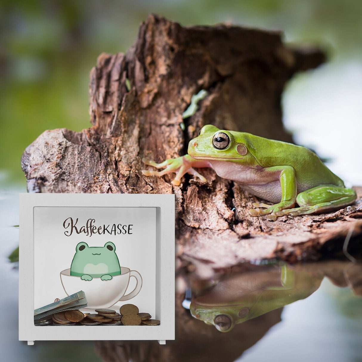 Frosch Spardose mit Spruch Kaffeekasse