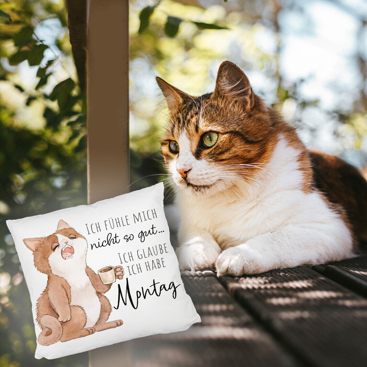 Katze Kissen mit Spruch Fühle mich nicht gut - habe Montag
