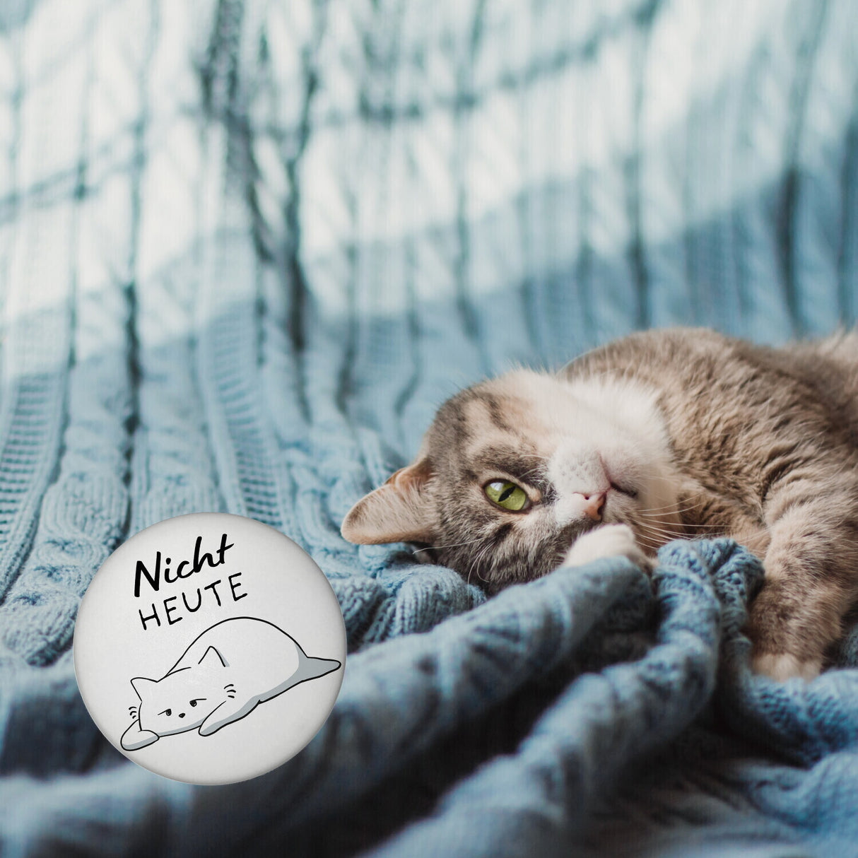 Katze Magnet rund rund mit Spruch Nicht heute