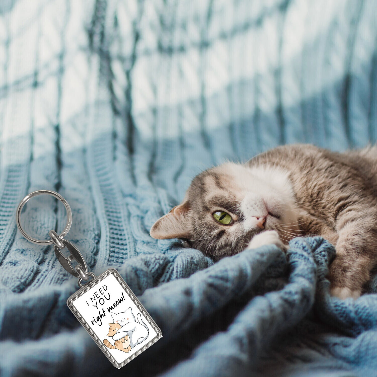 Katze Schlüsselanhänger mit Spruch I need you right meow