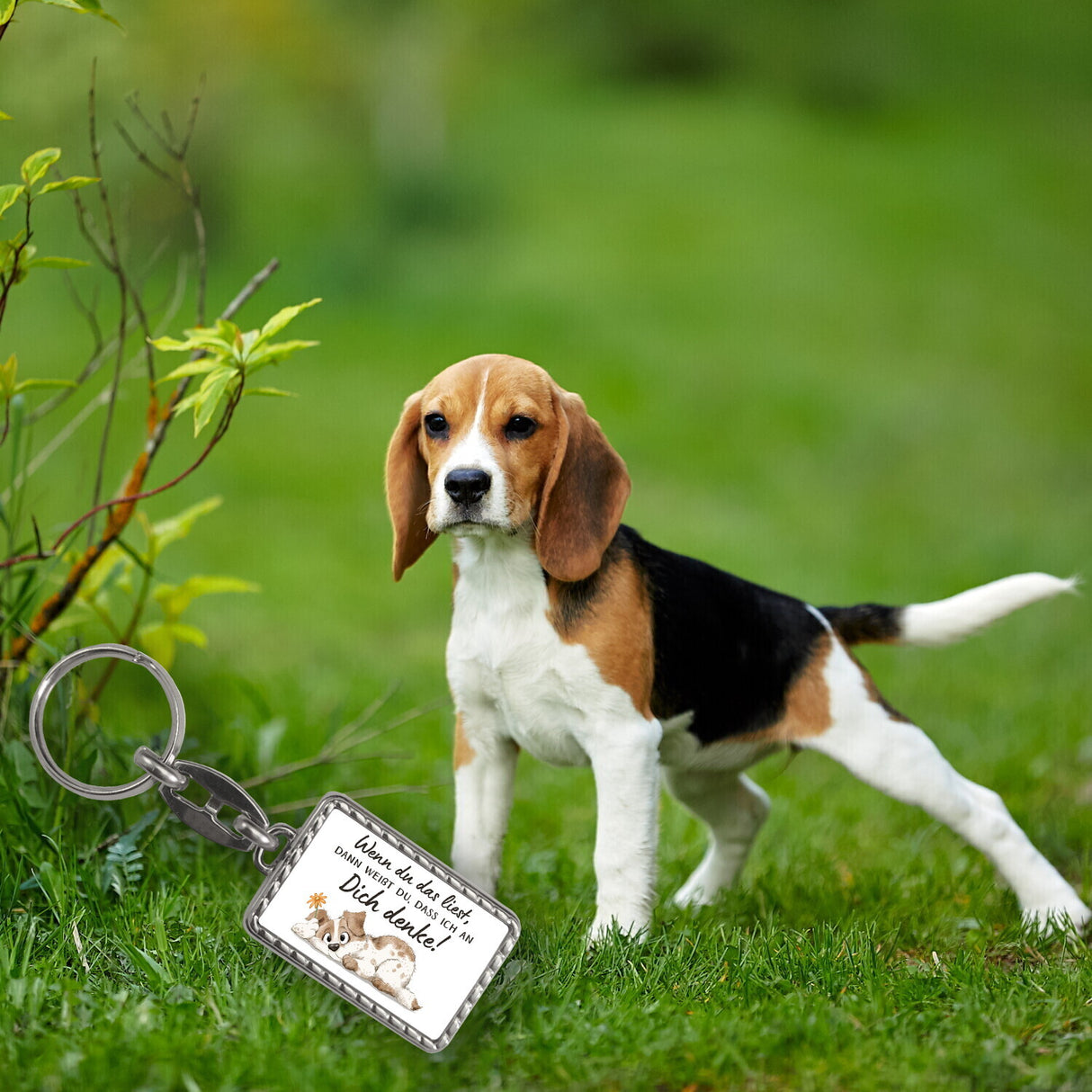 Hund Schlüsselanhänger mit Spruch Denke an dich