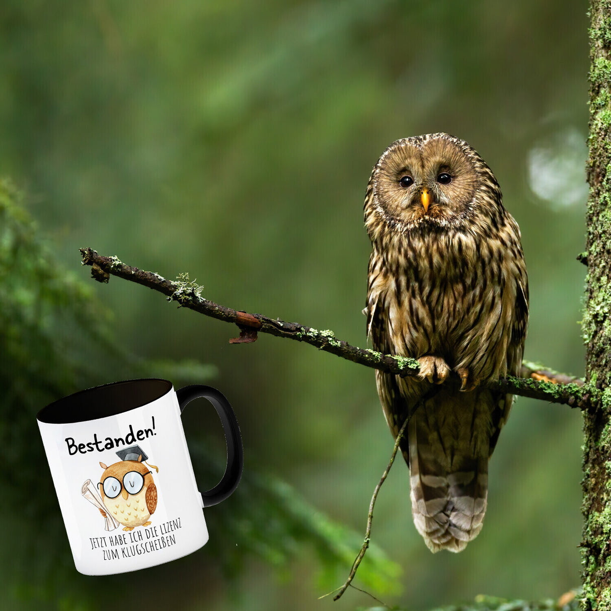 Bestandene Prüfung Eule Kaffeebecher mit Spruch Lizenz zum Klugscheißen