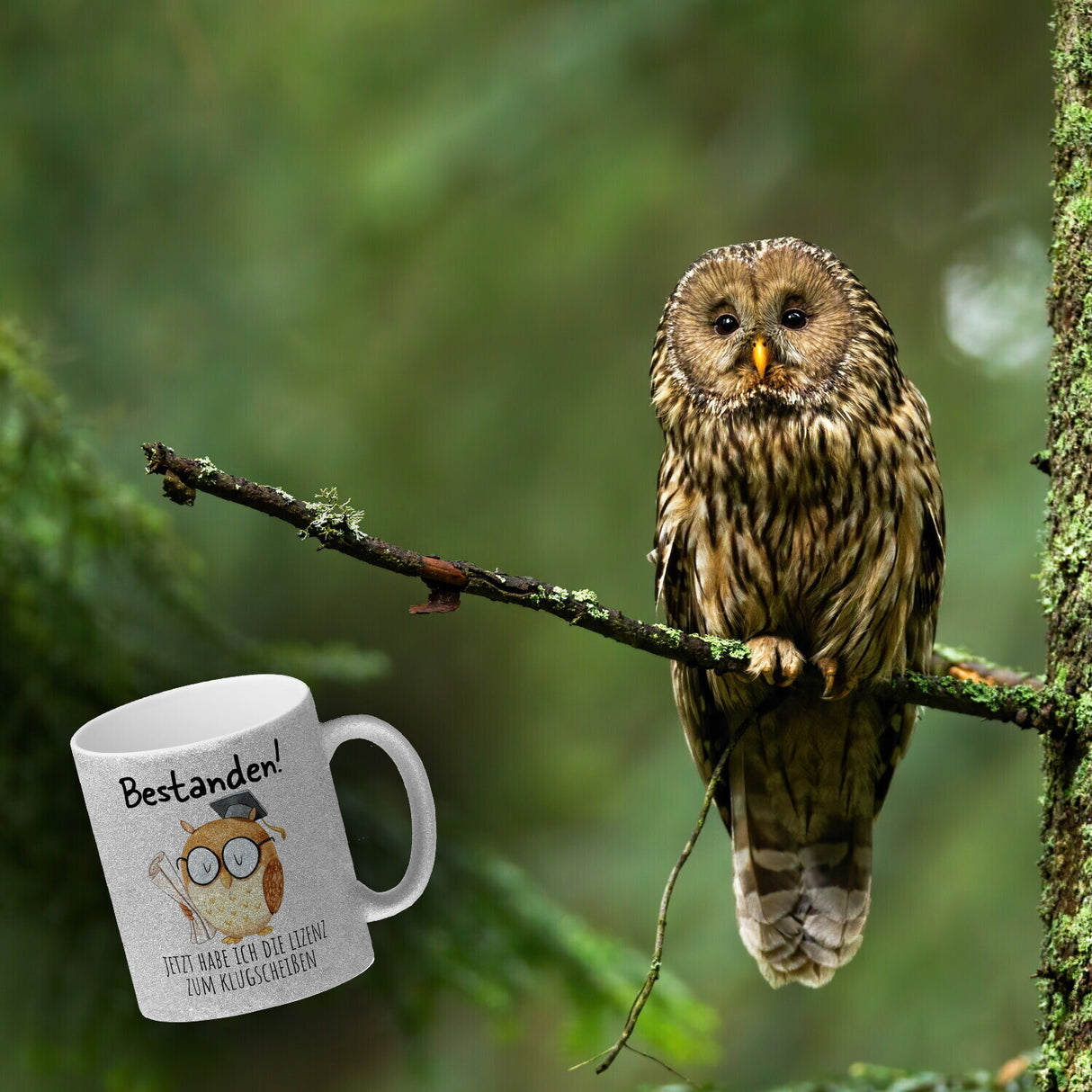 Bestandene Prüfung Eule Kaffeebecher mit Spruch Lizenz zum Klugscheißen