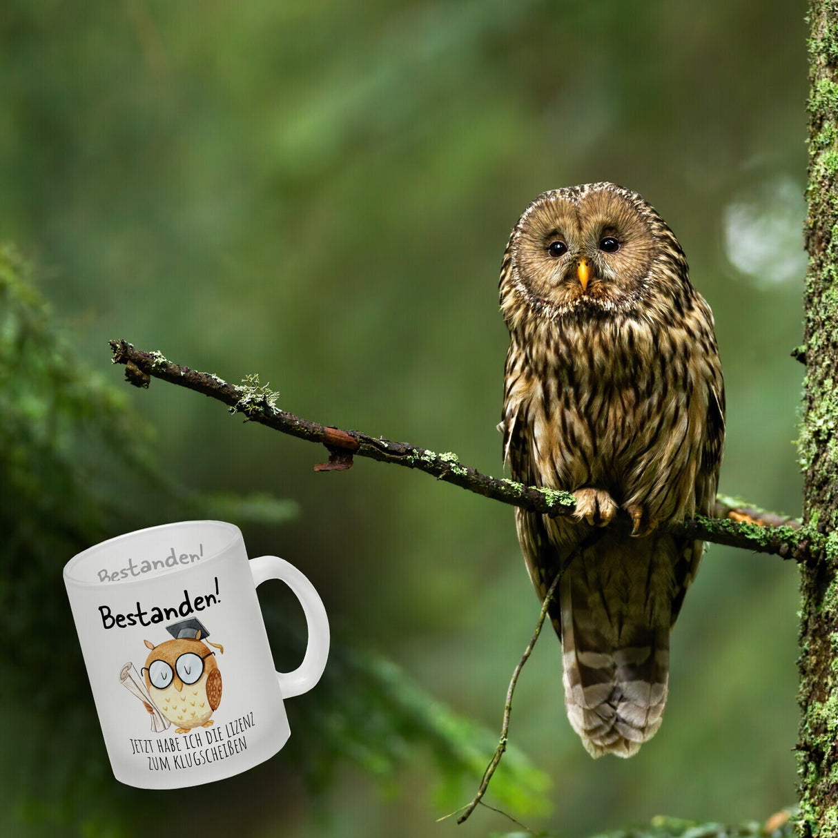 Bestandene Prüfung Eule Kaffeebecher mit Spruch Lizenz zum Klugscheißen