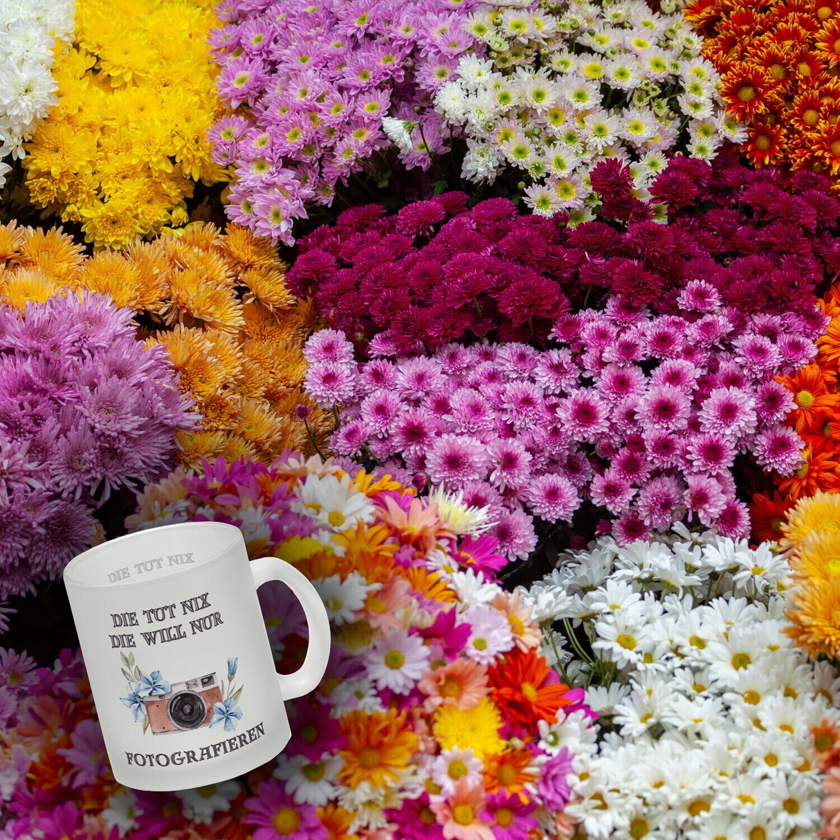 Fotografieren Kaffeebecher mit Spruch Die tut nix die will nur Fotografieren
