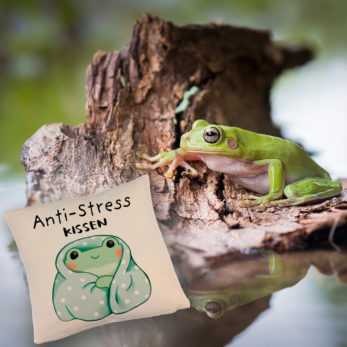 Frosch er Decke Kissen mit Spruch Anti-Stress Kissen
