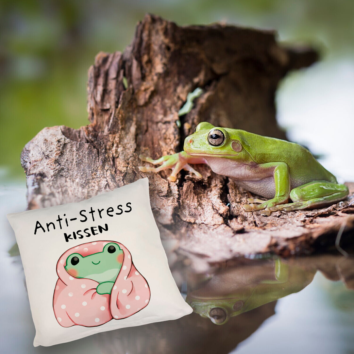 Frosch er Decke Kissen mit Spruch Anti-Stress Kissen