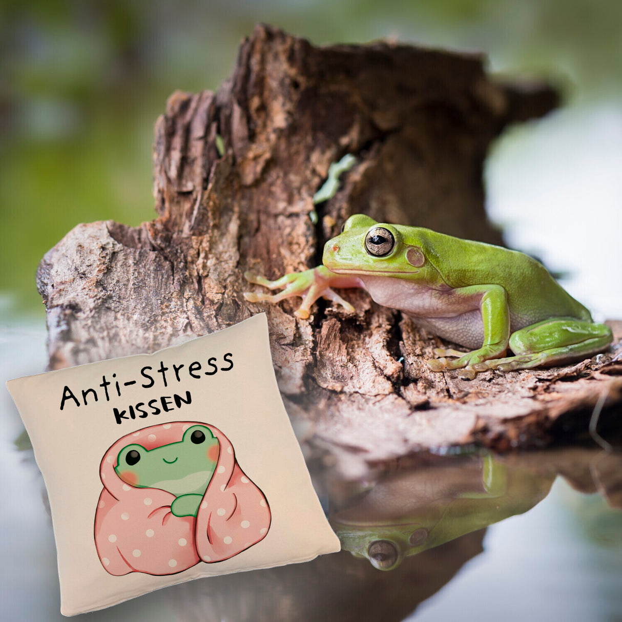 Frosch er Decke Kissen mit Spruch Anti-Stress Kissen