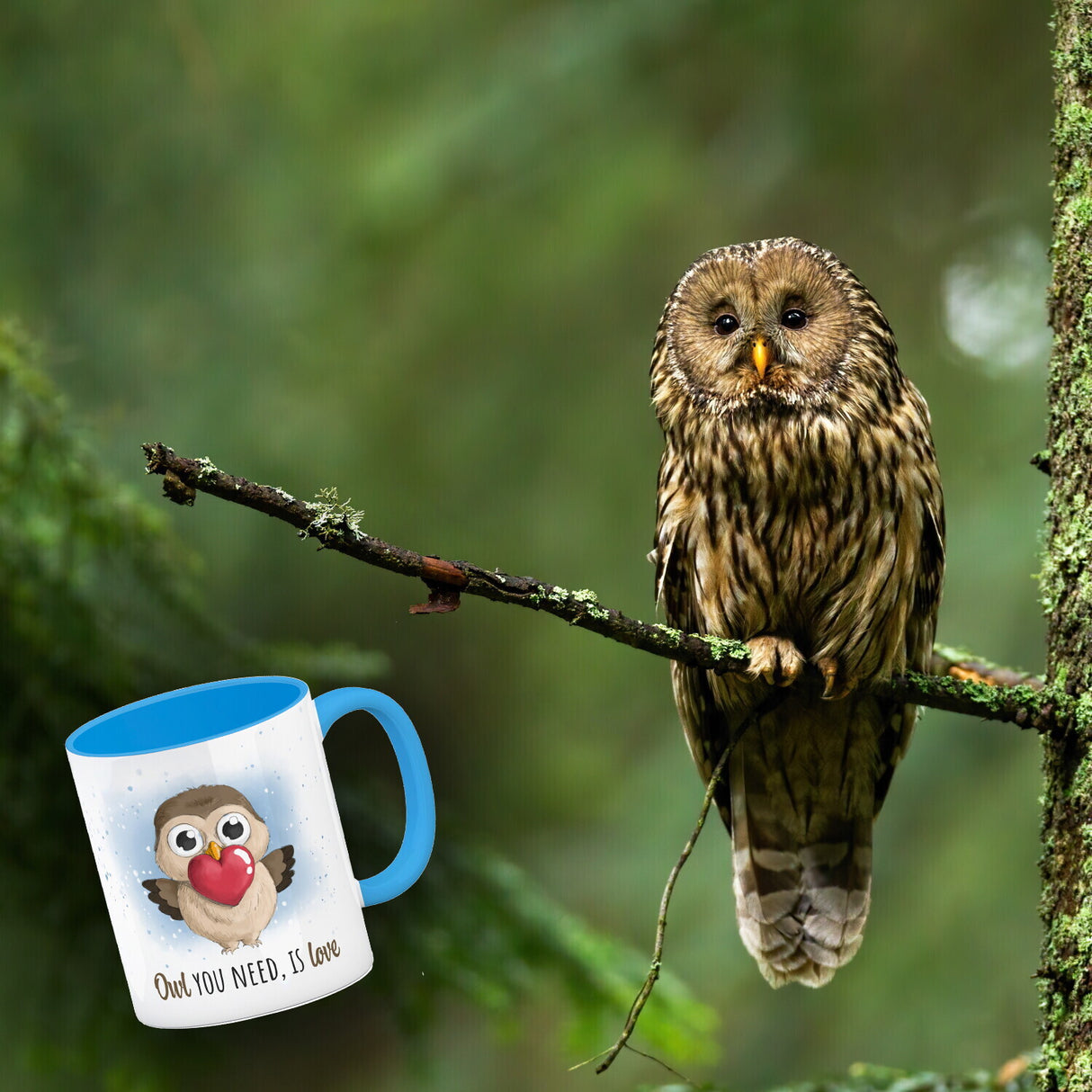 Eule Kaffeebecher mit Spruch Owl You need is love