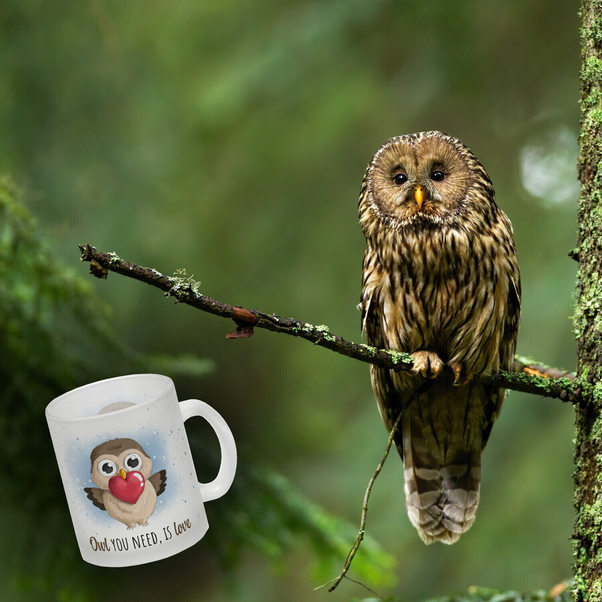Eule Kaffeebecher mit Spruch Owl You need is love