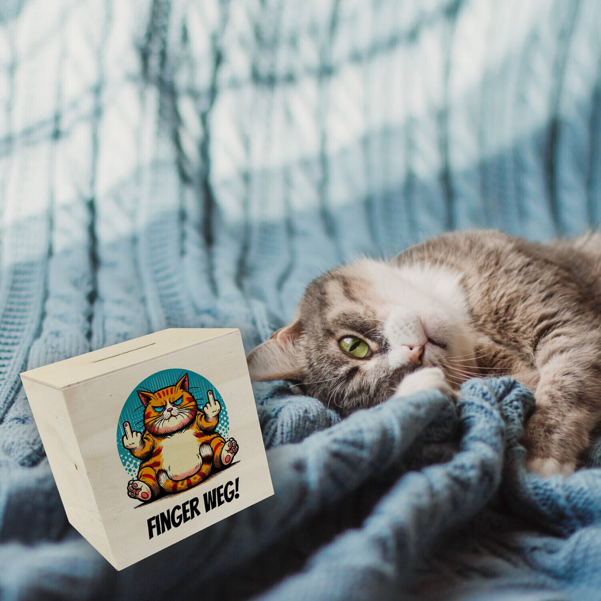Katze Mittelfinger Spardose mit Spruch Finger weg!