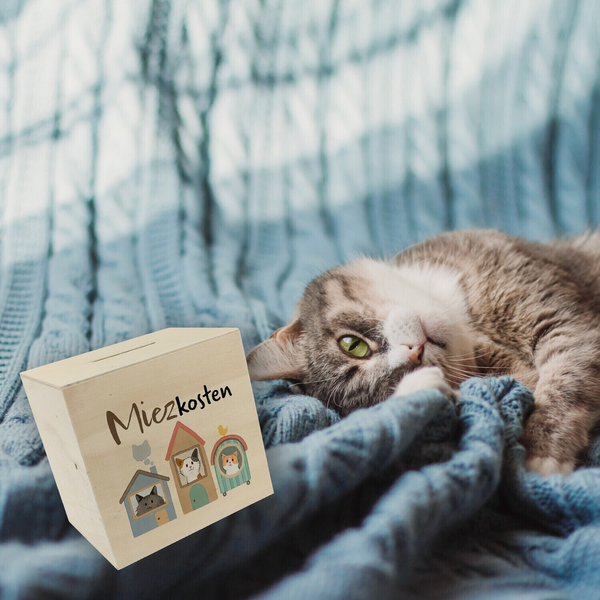Katzen Spardose mit Spruch Miezkosten