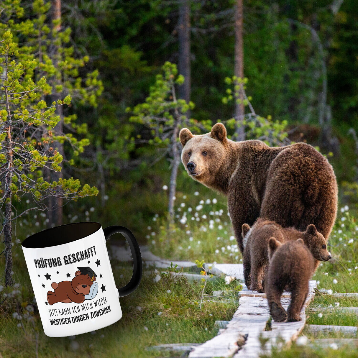 Schlafender Bär mit Doktorhut Kaffeebecher mit Spruch Prüfung bestanden