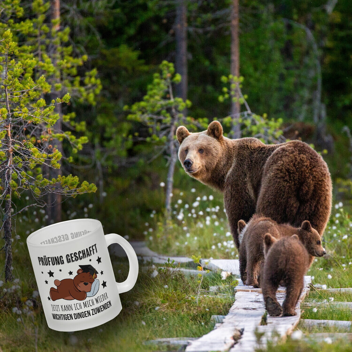 Schlafender Bär mit Doktorhut Kaffeebecher mit Spruch Prüfung bestanden