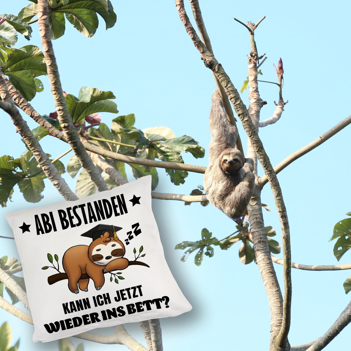 Abi bestanden Faultier Kissen mit Spruch zurück ins Bett