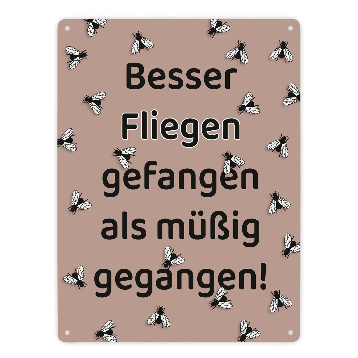 Fliege Metallschild in 15x20 cm mit Spruch Besser Fliegen fangen als faulenzen