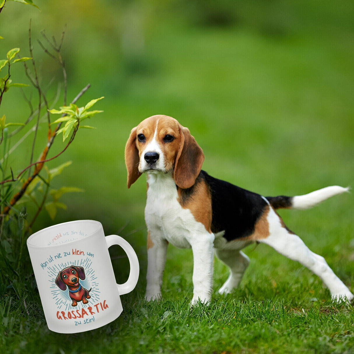 Dackel Kaffeebecher mit Spruch Nie zu klein für Großartigkeit
