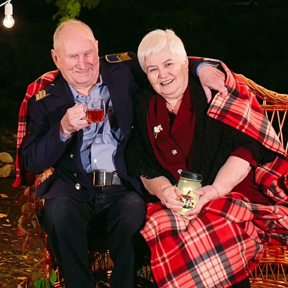 Gartenzwerg auf Fliegenpilz Solarlicht