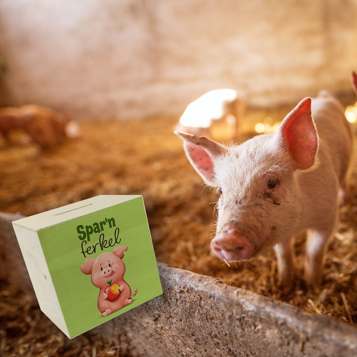 Schwein Spardose mit Spruch Sparnferkel