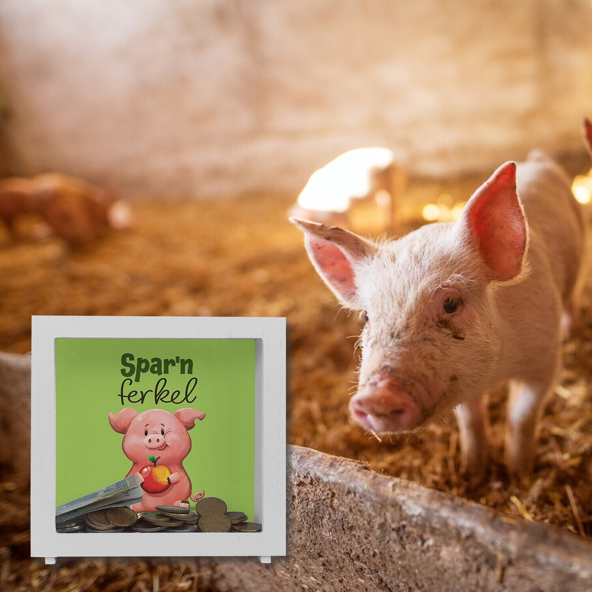 Schwein Spardose mit Spruch Sparnferkel