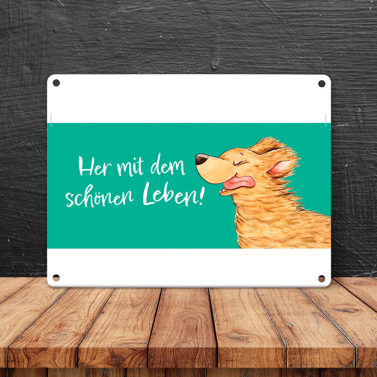 Hund Metallschild in 15x20 cm mit Spruch Her mit dem schönen Leben
