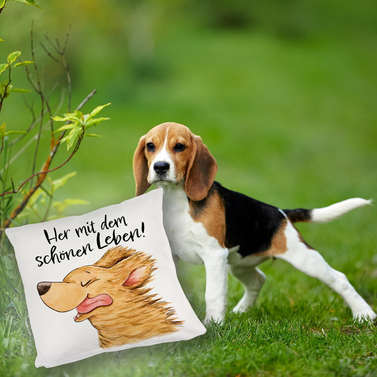 Hund Kissen mit Spruch Her mit dem schönen Leben