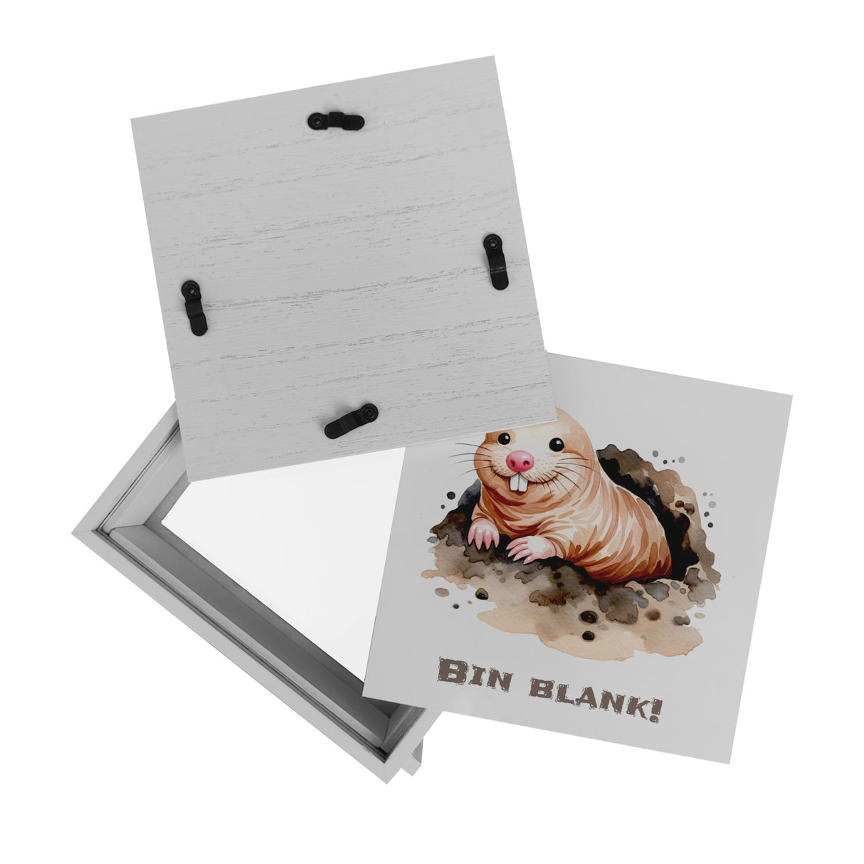 Nacktmull Spardose mit Spruch Bin blank!