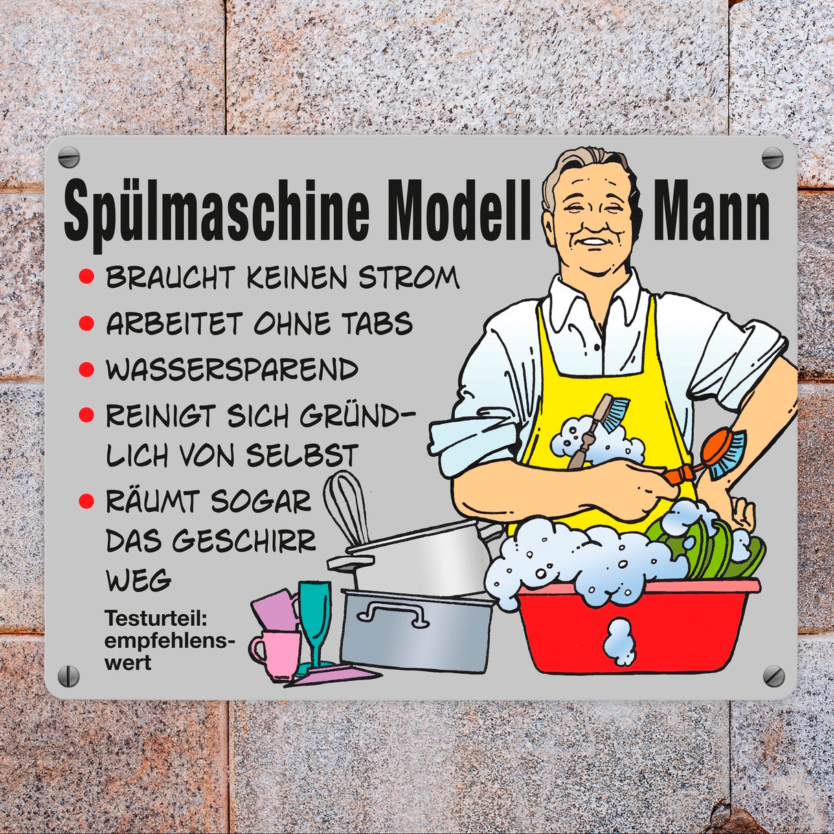 Hausmann Metallschild in 15x20 cm mit Spruch Spülmaschine Modell Mann
