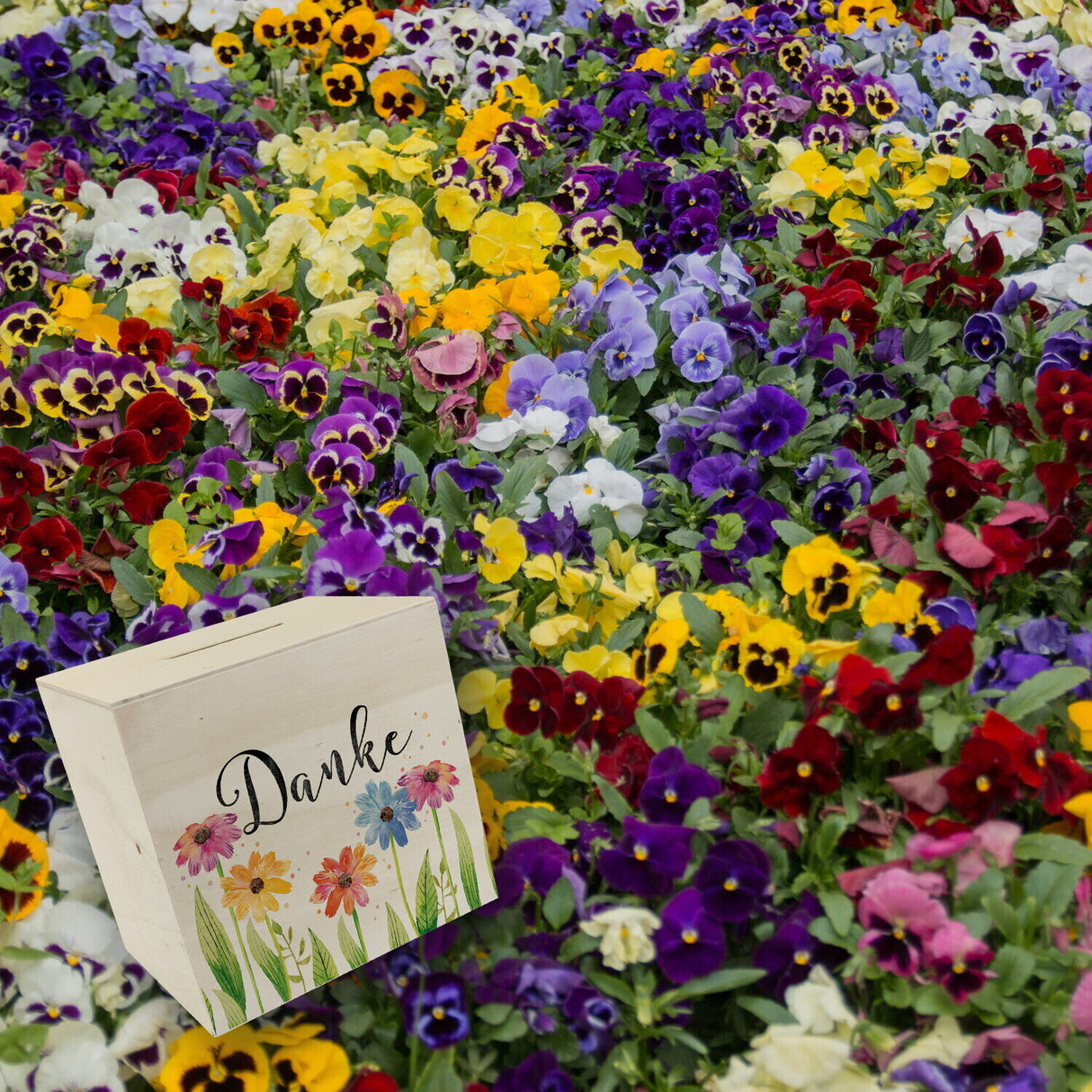 Blumen Spardose mit Spruch Danke
