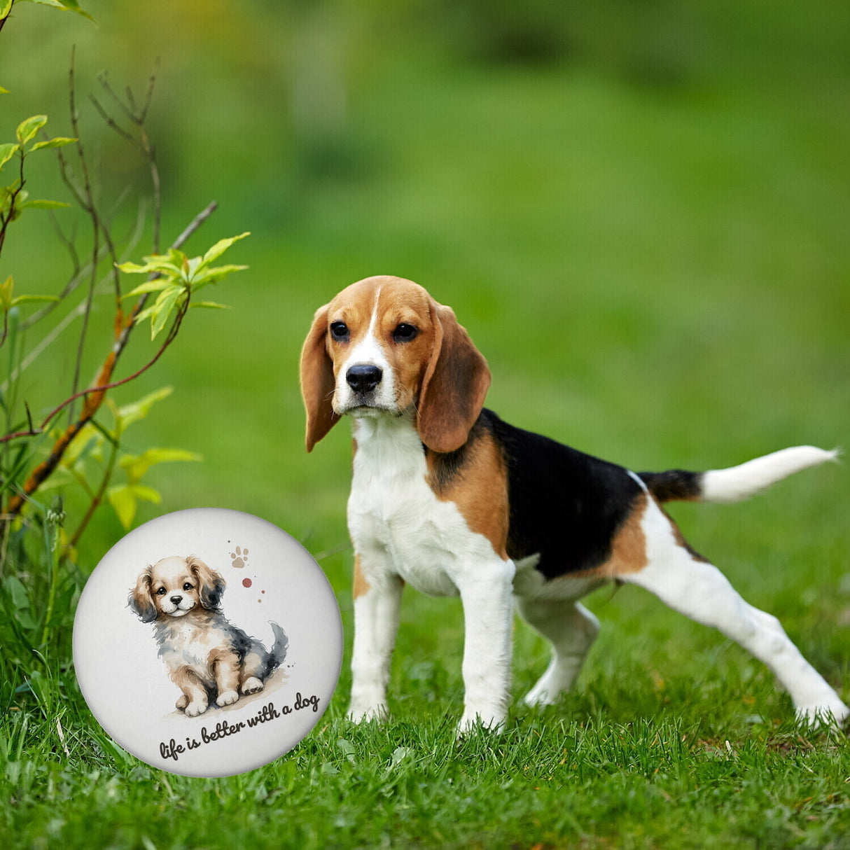 niedlicher Hund Magnet rund mit Spruch life is better with a dog