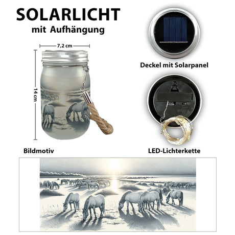 Landschaft mit Pferden Solarlicht