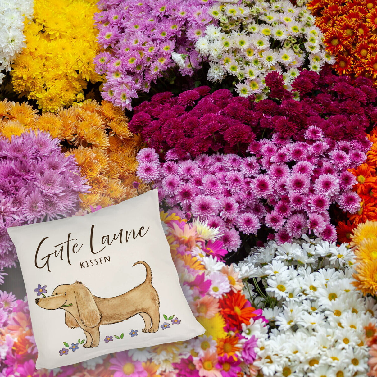 Dackel mit Blume Kissen mit Spruch Gute Laune Kissen
