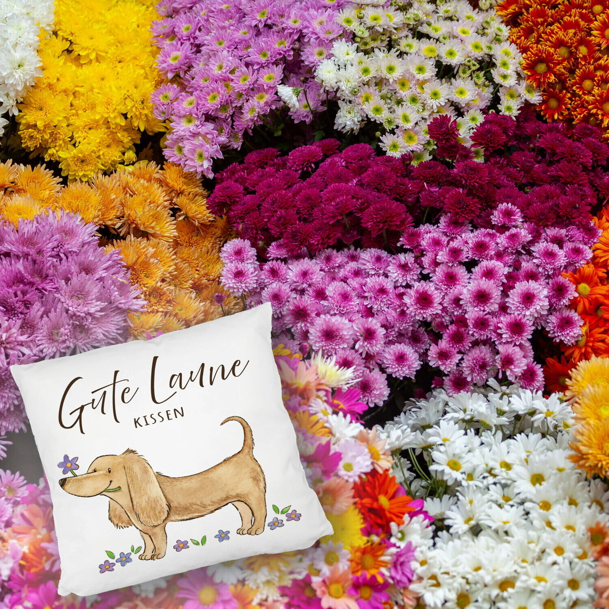 Dackel mit Blume Kissen mit Spruch Gute Laune Kissen