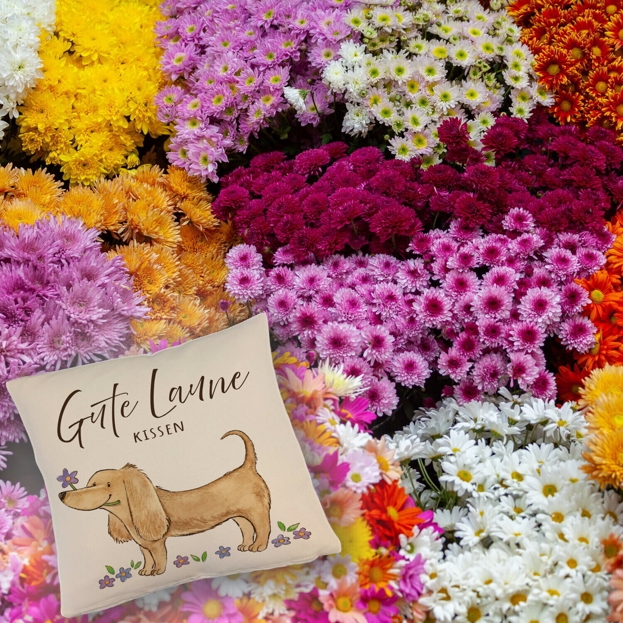 Dackel mit Blume Kissen mit Spruch Gute Laune Kissen