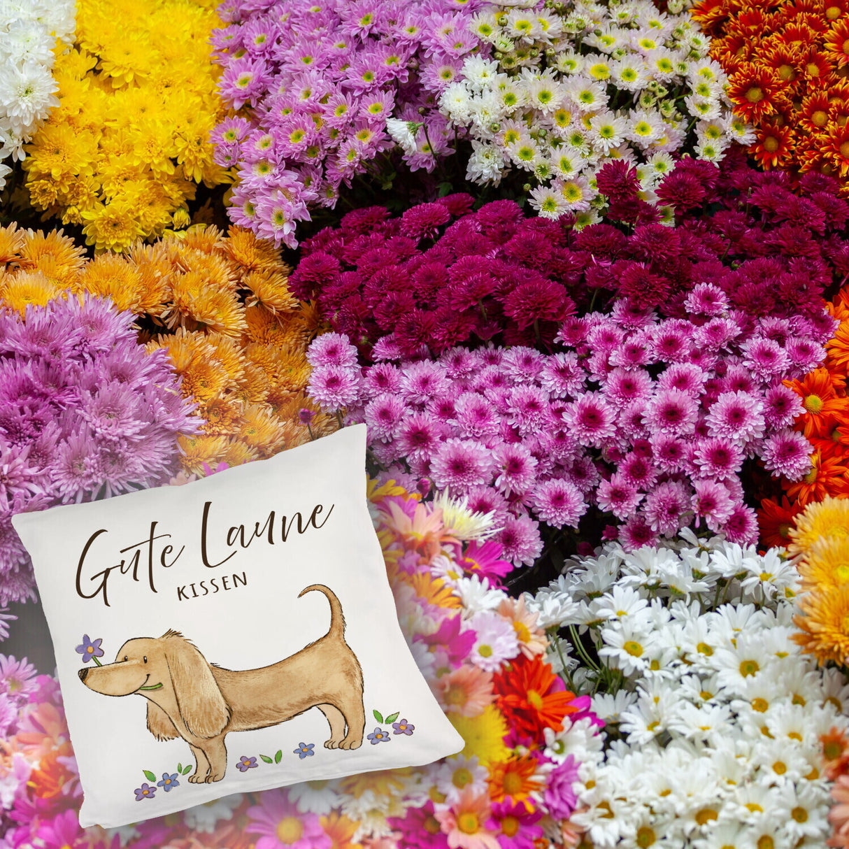 Dackel mit Blume Kissen mit Spruch Gute Laune Kissen