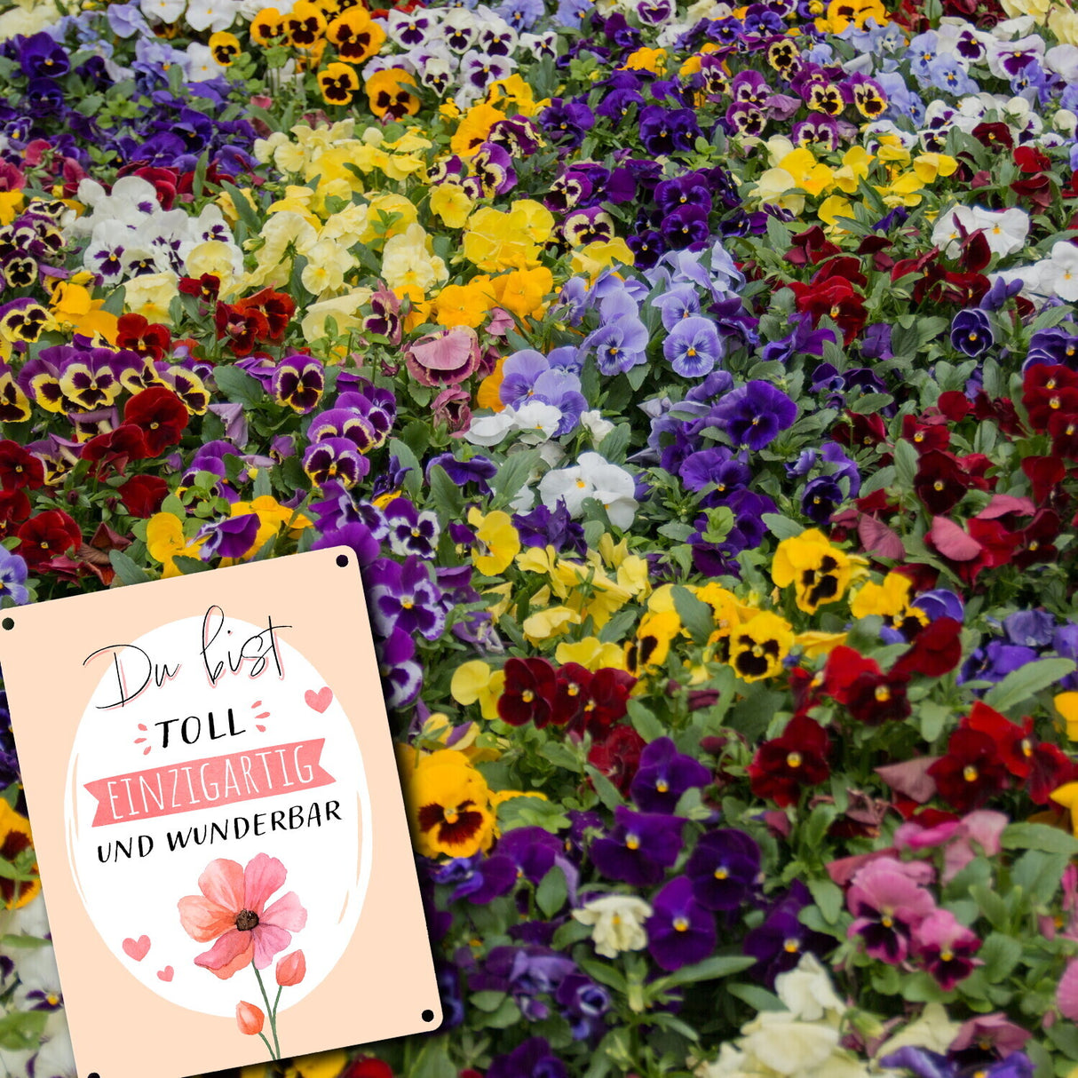 Blume Metallschild in 15x20 cm mit Spruch Du bist toll einzigartig und wunderbar