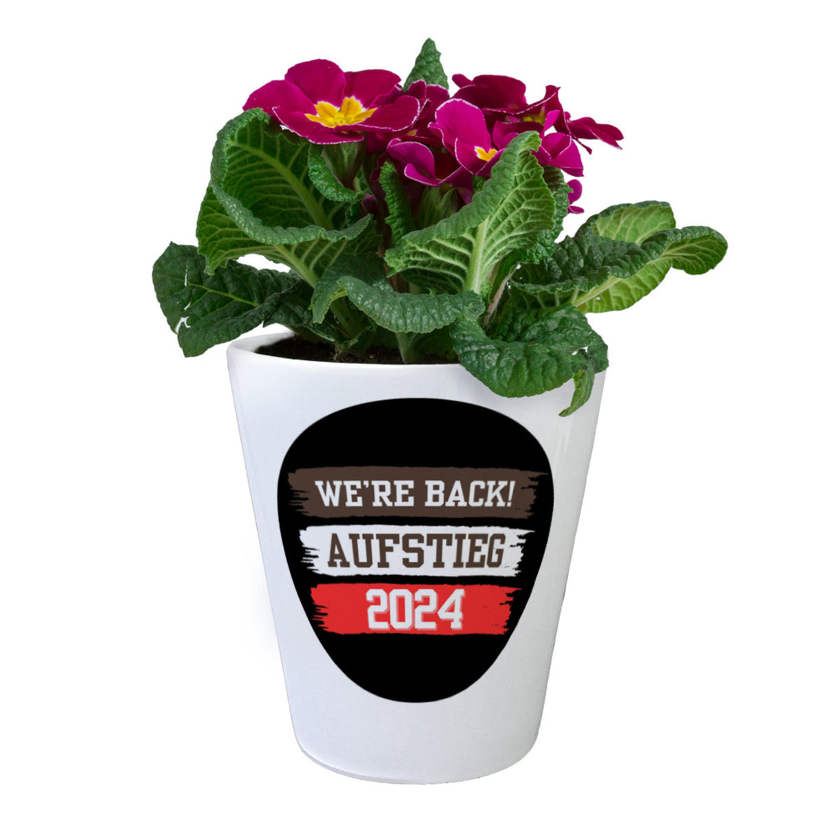 St. Pauli Aufstieg 2024 Blumentopf mit Spruch We're back