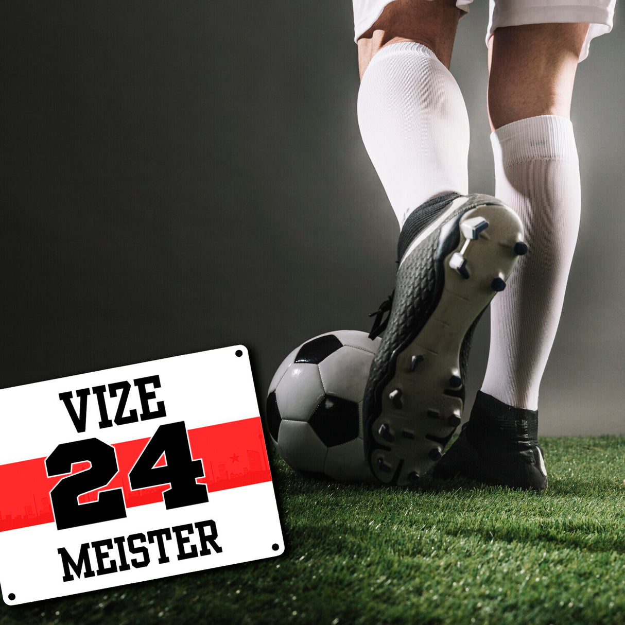 Stuttgart Brustring Metallschild in 15x20 cm mit Spruch Vizemeister 2024
