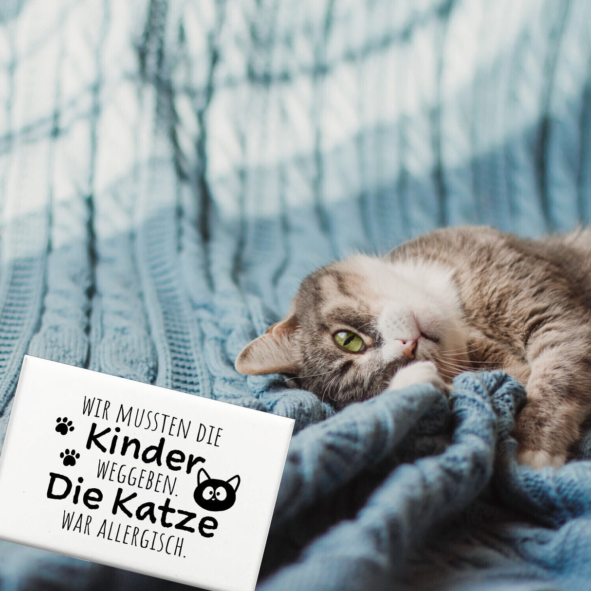 Katze Souvenir Magnet eckig mit Spruch Katze allergisch deshalb Kinder weg
